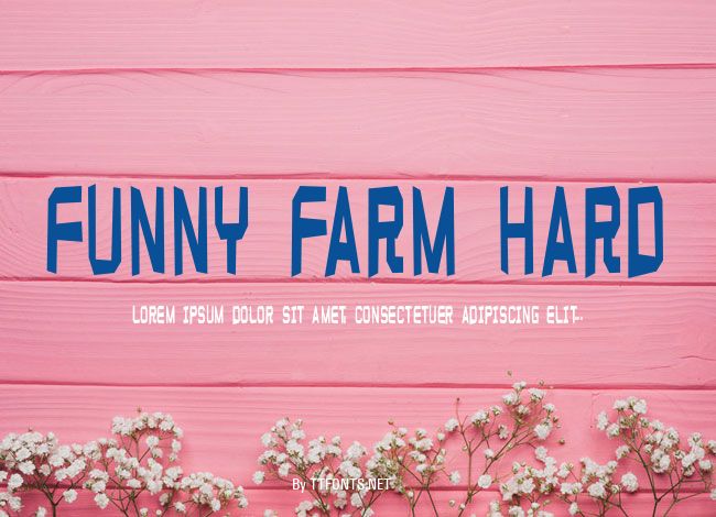 Funny farm hard example